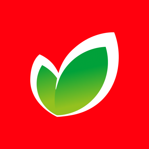 OK Hipermarketləri və Çatdırılma