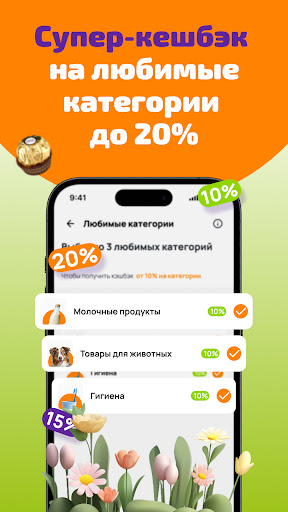 Dixie: Dostlar Klubu və Çatdırılma